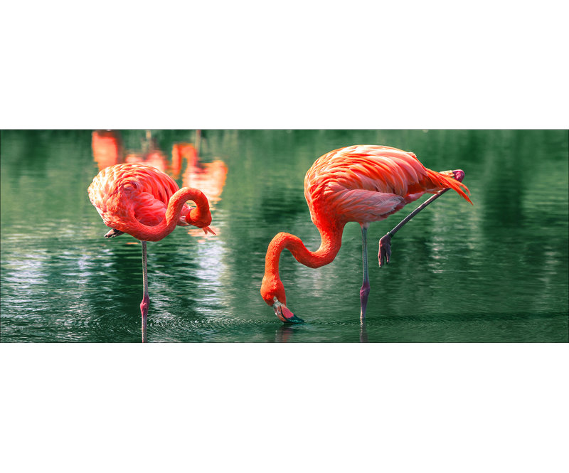 No Frame Painting, 50 cm H x 125 cm W x 1.4cm D