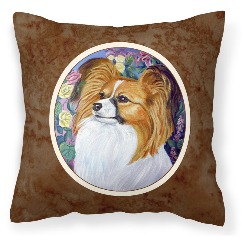  Coussin Papillon