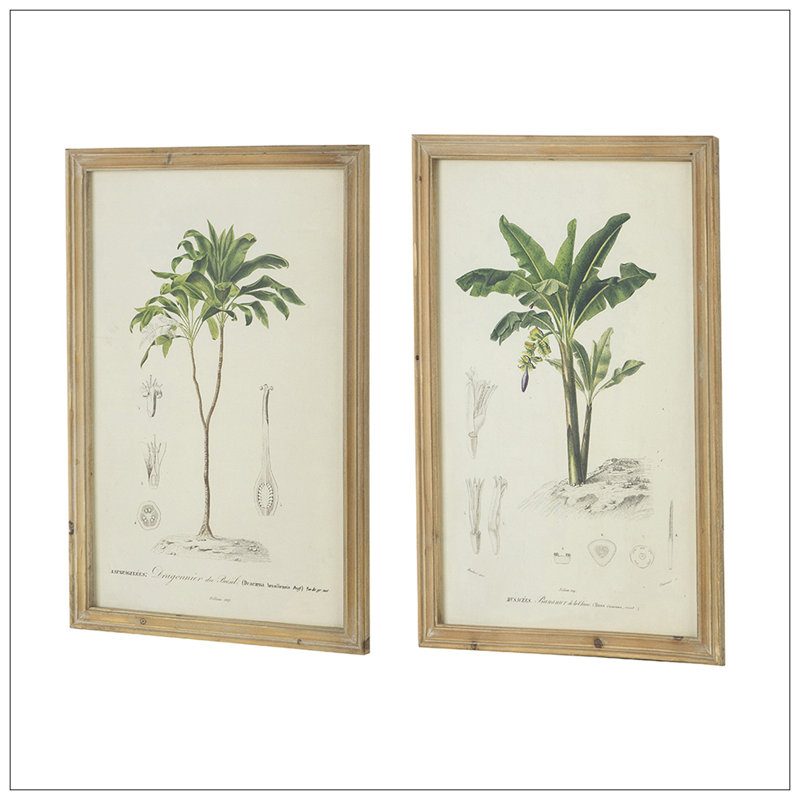 S/2 Tree Framed Print