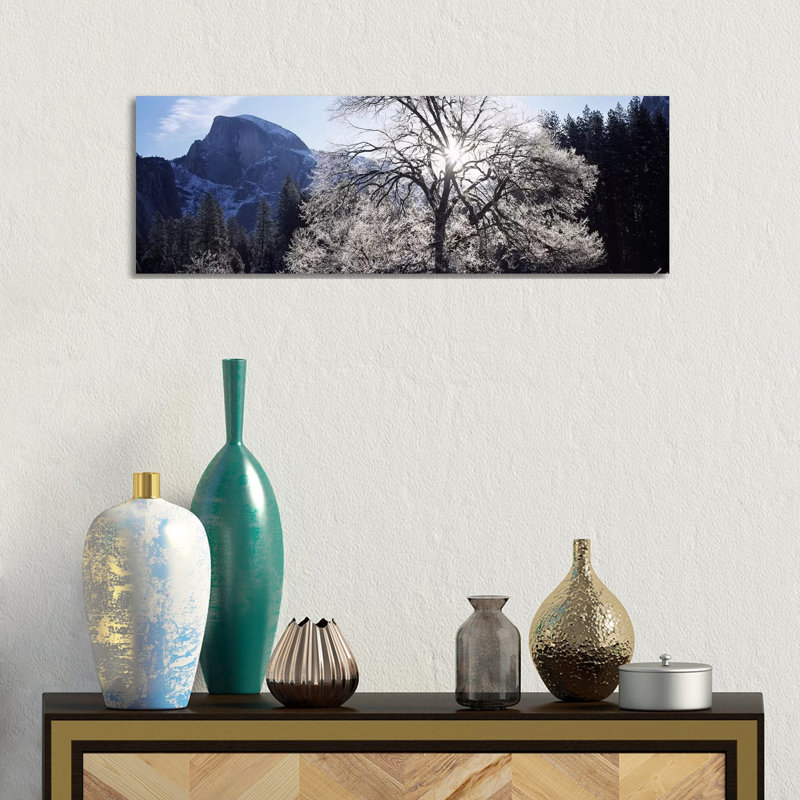 Low Angle View Of A Snow Covered Oak Tree, Yosemite National Park, California, USA - Wrapped Canvas Panoramic Print