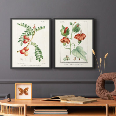 «Turpin Tropical Botanicals III», reproduction encadrée de qualité supérieure - prête à être accrochée - aucun clou requis - aucun clou requis