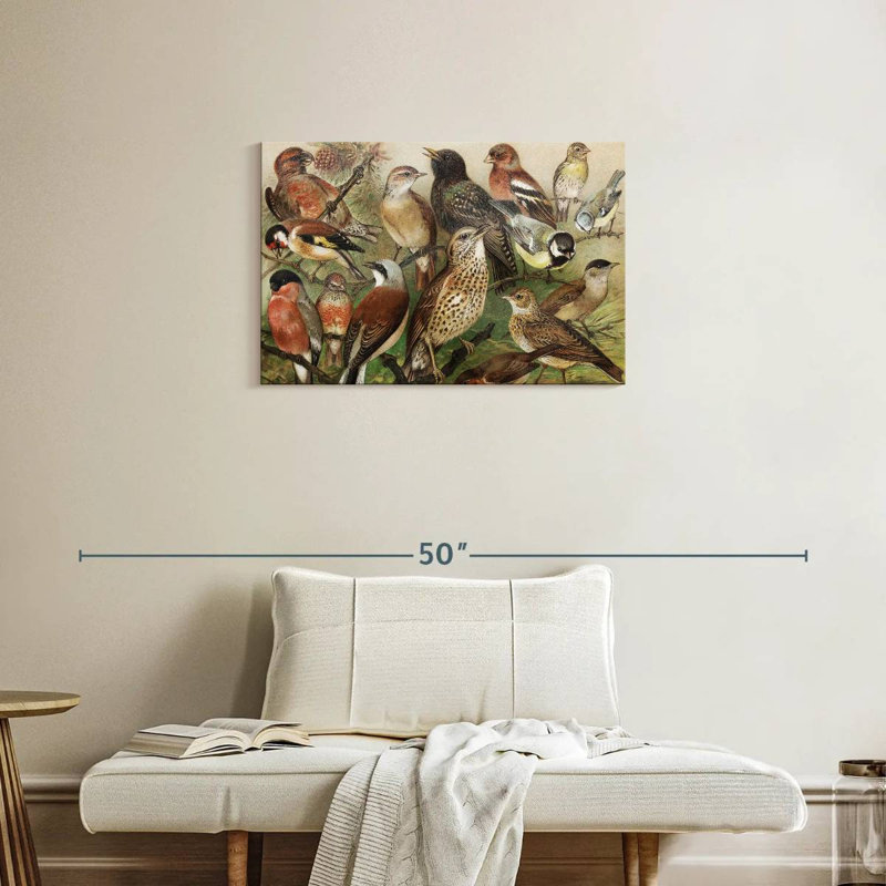 Brampt Botanical Birds Collection I, 20" H x 30" W