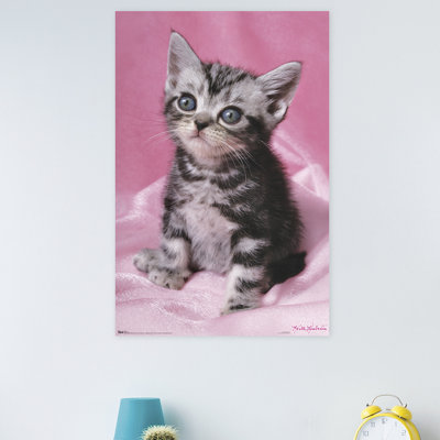 Animals Paper Print