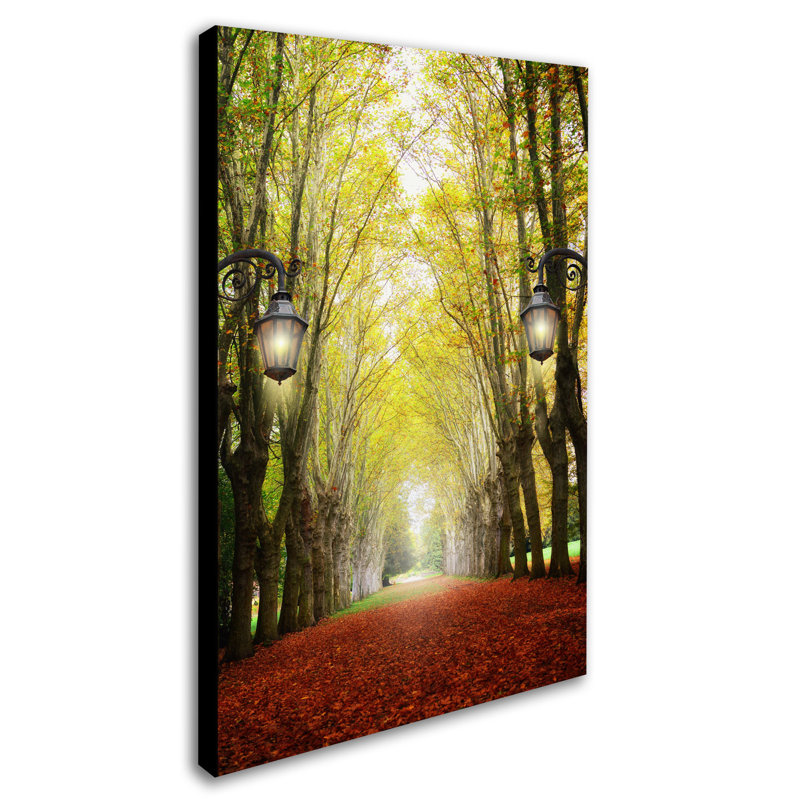 «Plane Tree Alley», reproduction de photo sur toile tendue, H 32 po x l 22 po x P 2 po