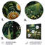 Ferns Plant Enchanted Forest III - impression florale en métal-1264445085