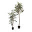 Faux olivier en pot Dore-1422237756