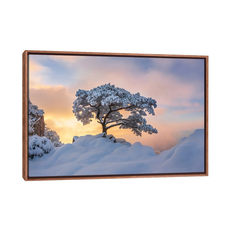 Cold Loner by Jaeyoun Ryu - Floater Frame Print on Canvas, Brown, 101.6 cm H x 66.04 cm W
