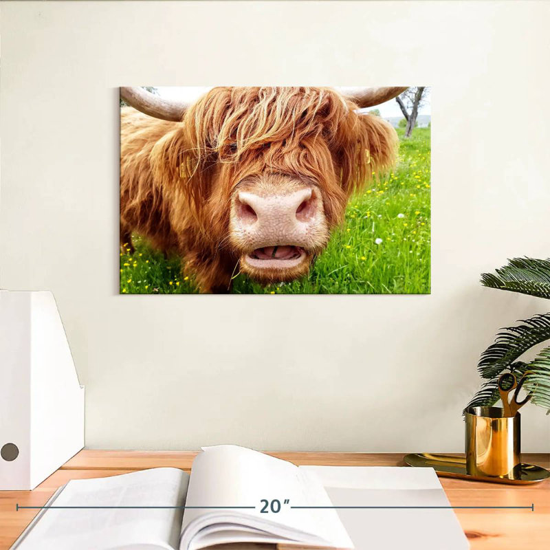 Vache Brampt, H 8 po x l 12 po