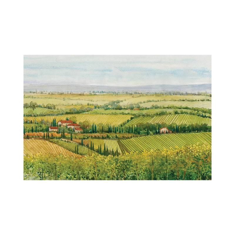 Wine Country View I by Tim OToole - Wrapped Canvas Painting, 20.32 cm H x 30.48 cm W
