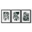Encre Jungle I - Impression sur mesure encadrée de qualité supérieure - 3 pièces-566396931-566396930