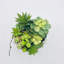 Plante grasse dans un pot à fleurs