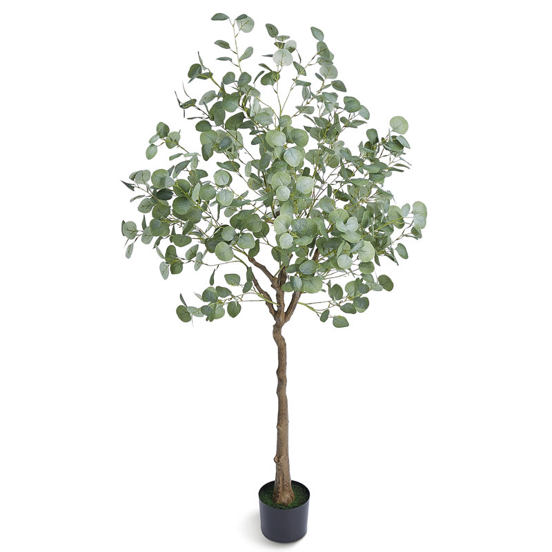 Faux eucalyptus 71,26 po