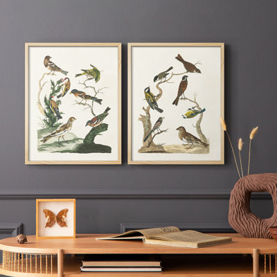 Oiseaux antiques dans la nature, impression encadrée de qualité supérieure - prête à être accrochée - aucun clou requis - aucun clou requis