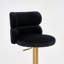 Swivel Yes Bar Stool with Stainless Steel Frame