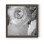 Renoncule foncé IV - cadre photo-1179620650-1179620652-1179599672