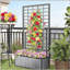 Lit de jardin surélevé en bois avec treillis-125534181