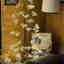 Customer photo 2 of 2