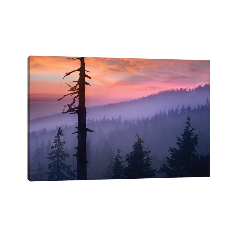 Sunset Over Forest, Crater Lake National Park, Oregon by Tim Fitzharris - Wrapped Canvas Print