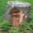 Squirrel Fun Welcome Garden Sign