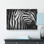 Stripes of the Zebras - Wrapped Canvas-56645697