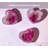 Large Silicone Heart Ice Cube Tray - Big Heart Shaped Ice Cube Trays That Freeze Heart Shape Ice Cubes For Valentine's Day Drinks. Also Use The Heart Ice Mould For Desserts And Ice Cream.