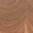 Walnut selected