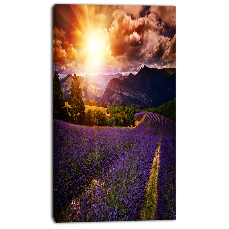 «Beautiful Sunset over Lavender Field», reproduction de photo sur toile tendue, H 32 po x l 16 po x P 1 po, Toile tendue