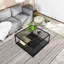 Coffee Table Sokol with Storage