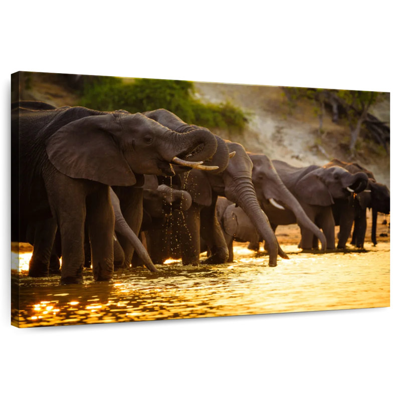 Éléphants dans la savane, H 26 po x l 39 po