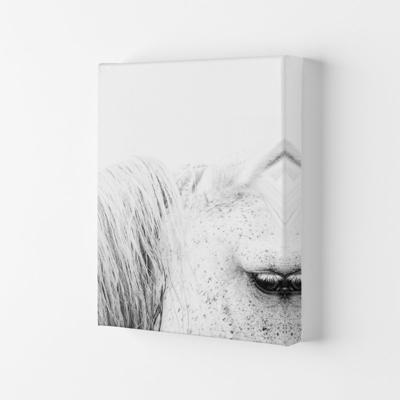 White Horse II by Victoria Frost - Print, Wrapped Canvas, 59.4cm H x 42cm W x 4cm D