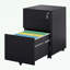 Rangement de rangement 15,35 po Mayhue-429810593