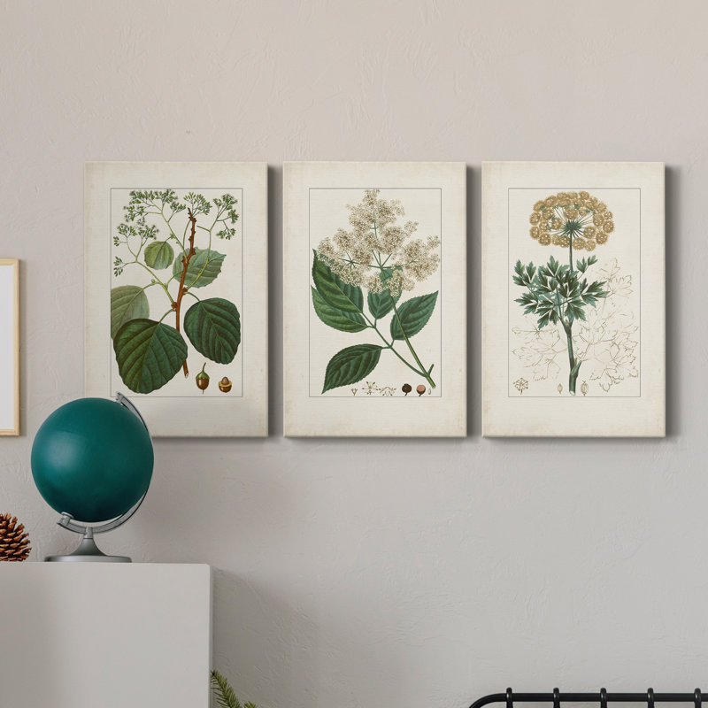 Antique Turpin Botanical IV - ensemble de 3 impressions sur toile tendue, H 48 po x l 96 po x P 1 po