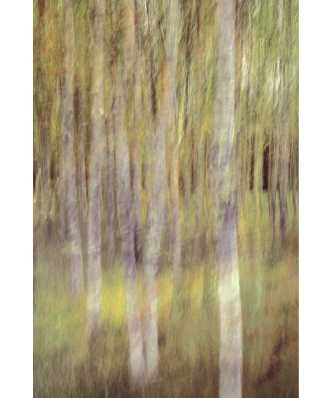 Wrapped Canvas Print, 121.92 cm H x 81.28 cm W