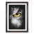 Walnut Framed selected