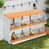 Orange / blanc