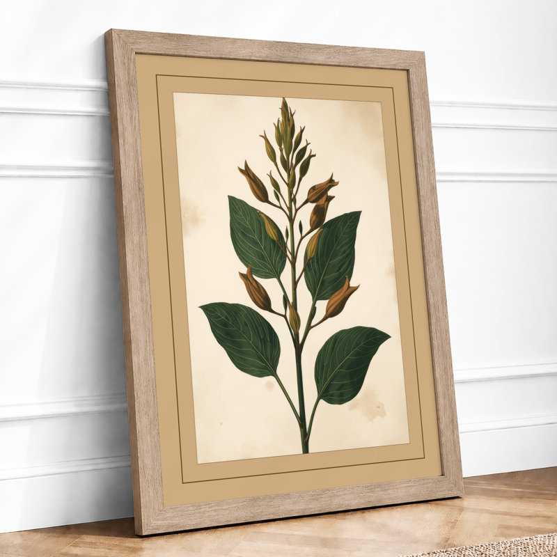 Specimen Botanical - Print, A1 - 84.1 x 59.4 cm, Oak