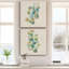 Eucalyptus I - ensemble de 2 reproductions d'art-2047415885-2047415878-2097958763
