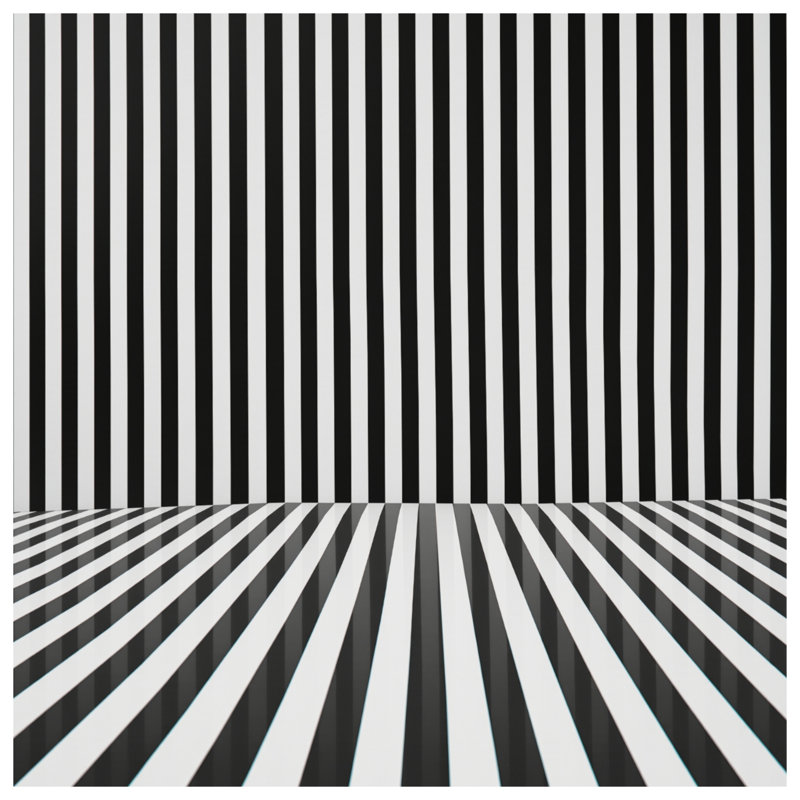 Tapis de bain noir et blanc à rayures verticales, 34in W x 21in L