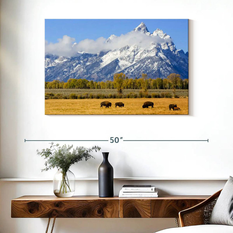 Bison d'Alvord dans les plaines de Teton, H 26 po x l 39 po