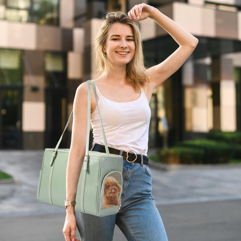 Pet Carrier, Green