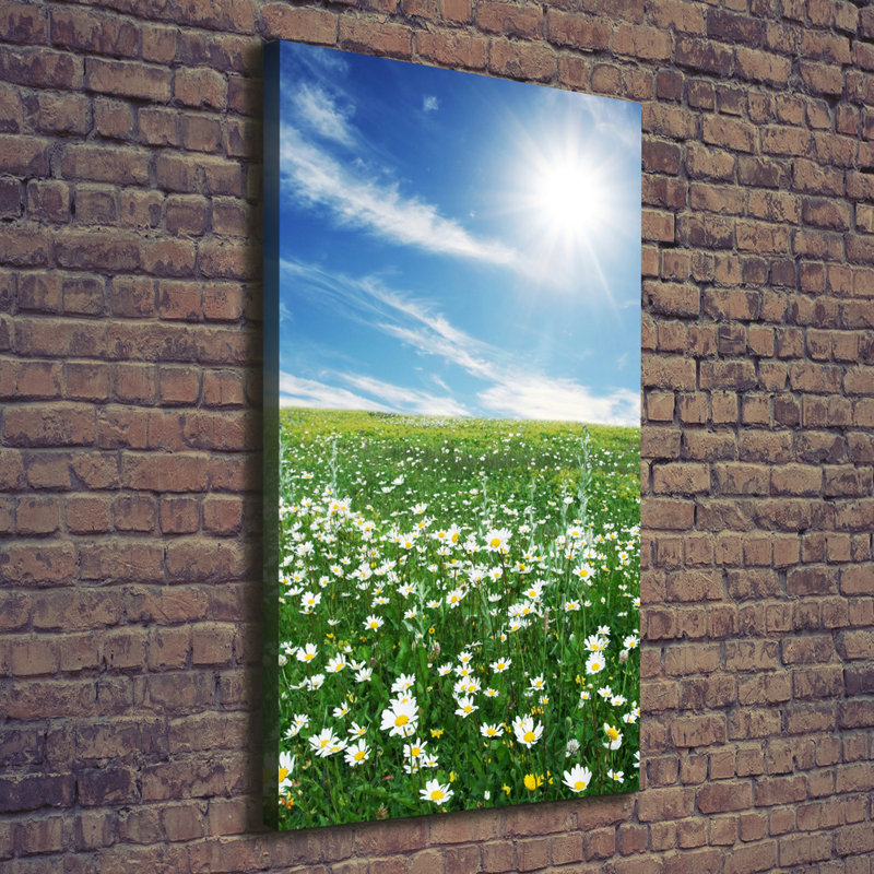 Meadow - Wrapped Canvas Print