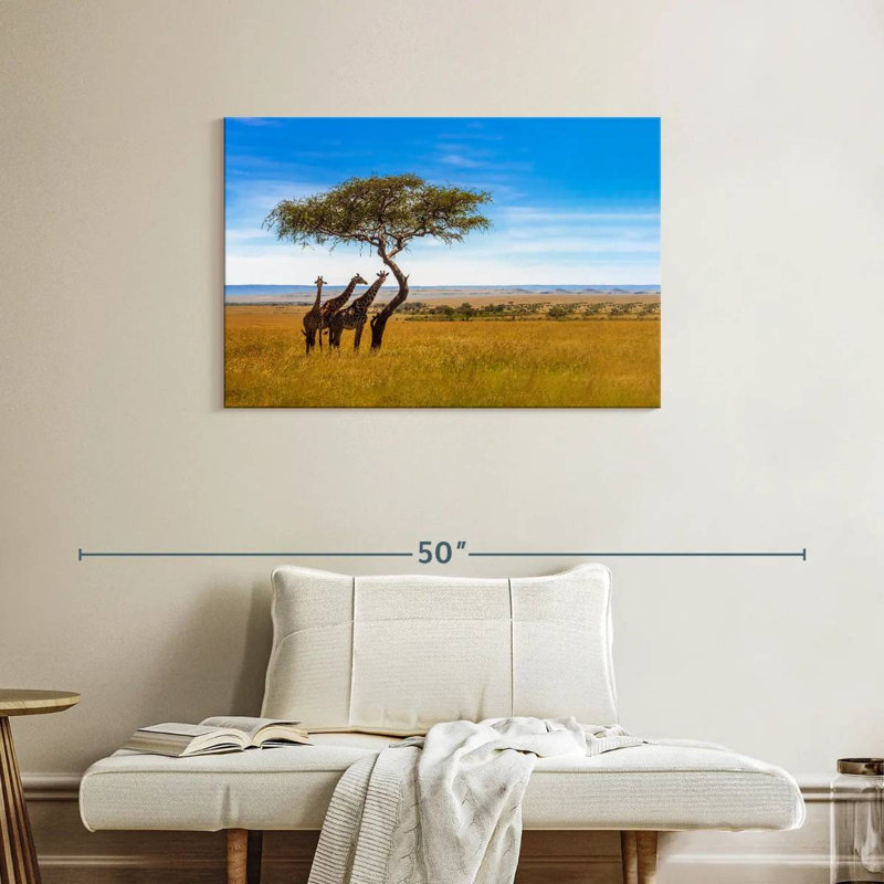 Brampt, savane, girafes d'Afrique, H 24 po x l 36 po
