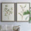 Toile simple encadrée de qualité supérieure - prête à être accrochée-1420868563-1420868562