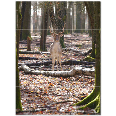 Murale décorative en céramique cerf 8 po x 8 po Deer Photo