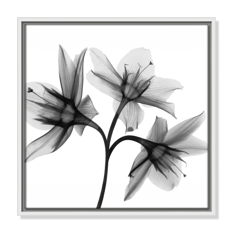 Collection Twins & Trio «Daffodil Trio - Square Version» par Albert Koetsier, H 17,5 po x l 17,5 po, Blanc