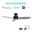 Ventilateur de plafond encastré intelligent à 3 pales 48 po avec télécommande et luminaire Trendsetter de 48 po Trendsetter.
