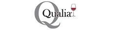 Logo Qualia Glass