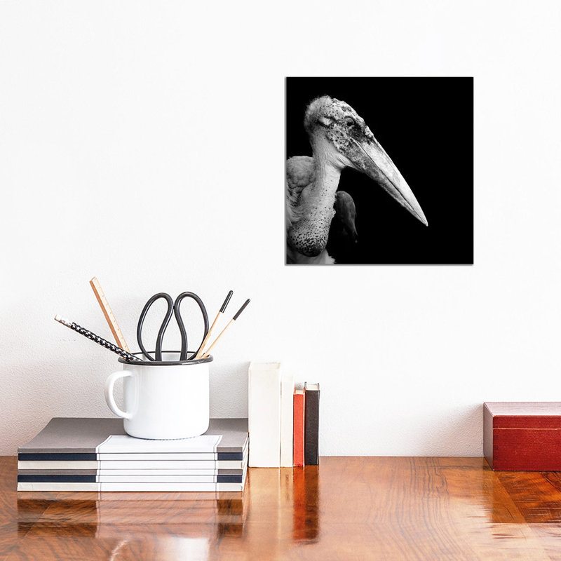 Marabou Stork In Black And White by Lukas Holas - Wrapped Canvas Print, 30.48 cm H x 30.48 cm W