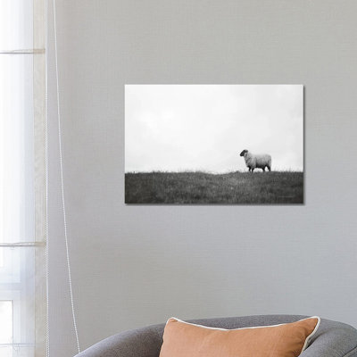 Islay Sheep II 1 Piece Wrapped Canvas Wall Art