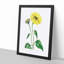 Trumpet Stalked Sunflowers - Framed Print-55642232-55642236